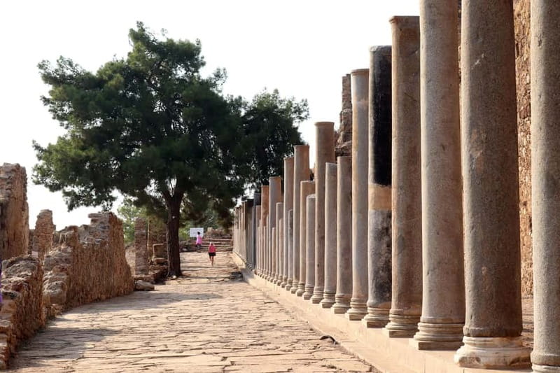 Alanya: Ancient & Coastal Ruins Tour – Syedra & Iotape - Aydapınar Ancient Ruins: a quieter stop that still adds context