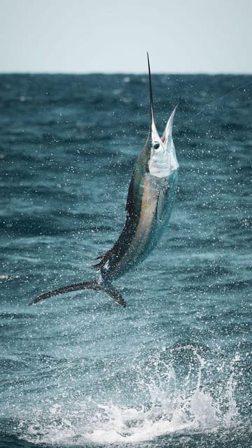 Alanya: Fishing Tour with Equipment and Lunch - When the sea turns active: fishing stops, repositioning, and seasickness risk