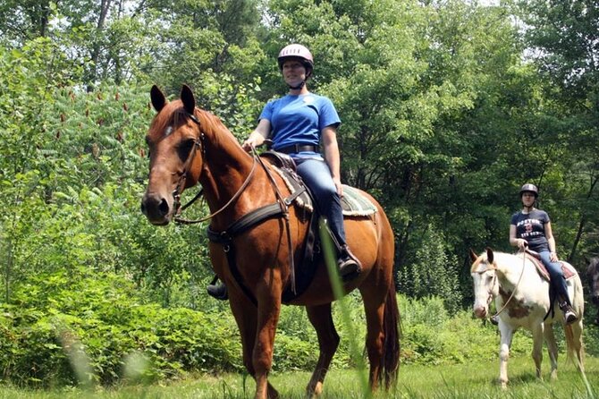 Alanya Horse Riding Experience With Free Hotel Transfer - Pickup, timing, and small-group comfort