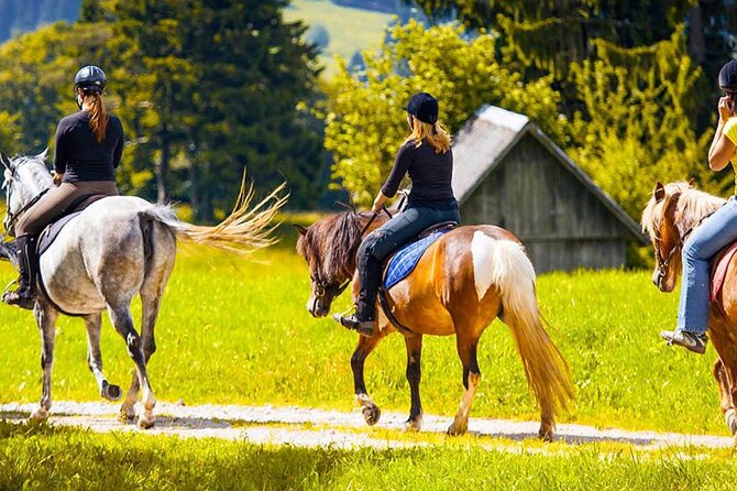 Alanya Horse Riding Experience With Free Hotel Transfer - Language and how to get the most out of the guide