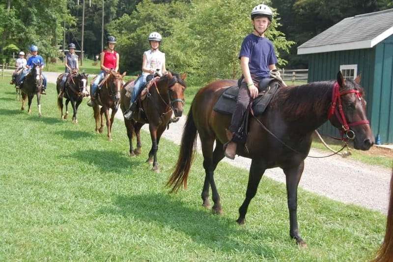 Alanya: Horse Riding Tour with Hotel Transfers - If you care about photos, plan ahead