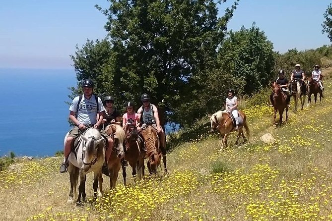 Alanya: Horseback Ride Through Nature near Syedra Ruins - Getting from Alanya to Horse Club Alanya (and why the timing matters)