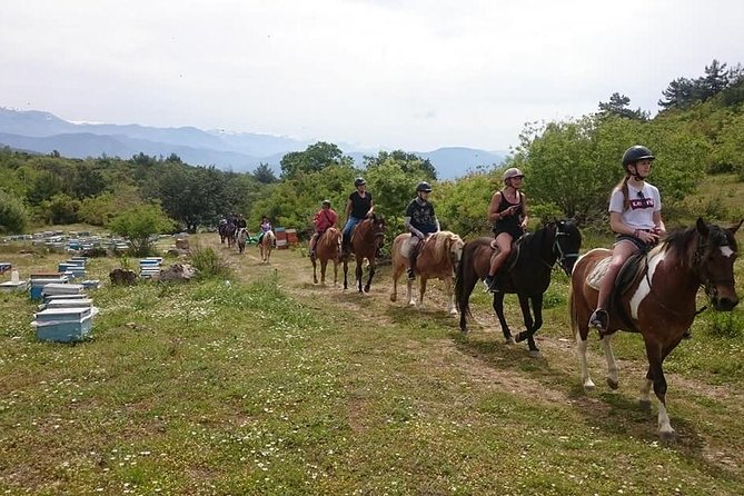 Alanya: Horseback Ride Through Nature near Syedra Ruins - Orientation, safety, and what the ride feels like for first-timers