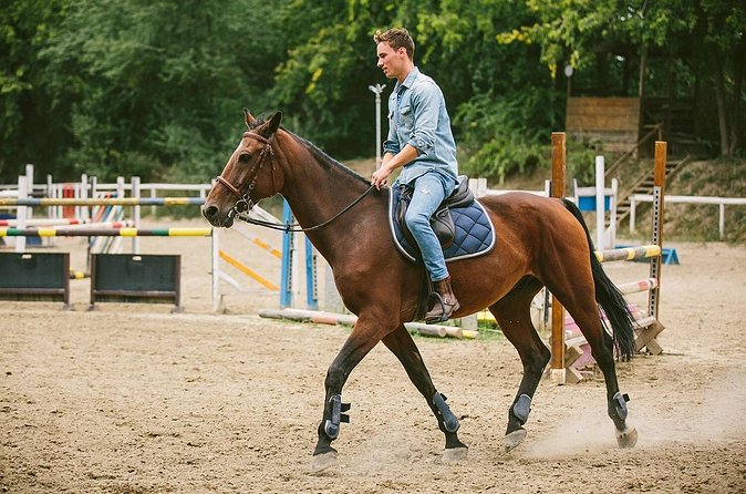 Alanya Horseback Riding Experience - Stop 1, Alanya: what the ride through nature feels like