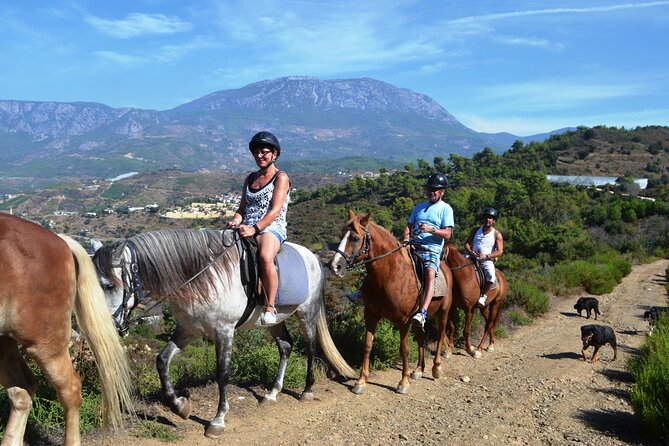 Alanya: Horseback Riding in Taurus: Forest Sea Views 2.5 Hours - Key Highlights You’ll Care About