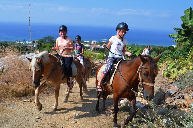 Alanya: Horseback Riding in Taurus: Forest Sea Views 2.5 Hours - Riding Through Pine Forests, With Sea Views Worth Waiting For