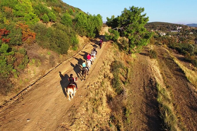 Alanya: Horseback Riding in Taurus: Forest Sea Views 2.5 Hours - Stops Along the Way: Bazaar, Beach, Castle, Museum, and Viewpoints