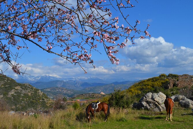 Alanya: Horseback Riding in Taurus: Forest Sea Views 2.5 Hours - Who This Tour Fits Best (And Who Might Want Something Else)