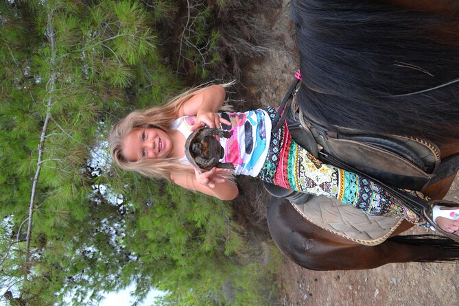 Alanya: Horseback Riding in Taurus: Forest Sea Views 2.5 Hours - Price and Value: About $84.29 for a Half-Day Package