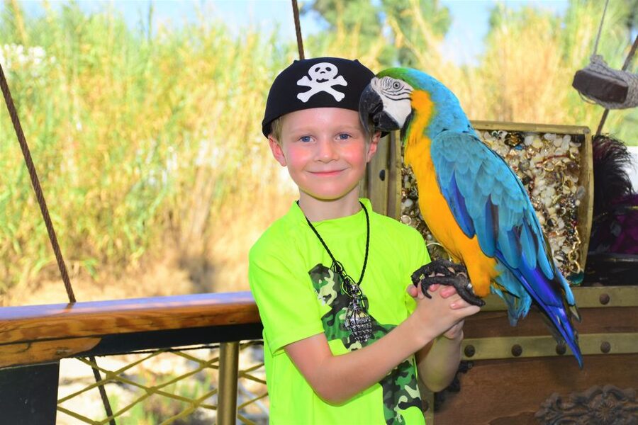 Alanya: Party Pirate Boat Trip w/Meal, Drinks, Pickup Option - Who This Tour Fits Best (And Who Might Prefer Something Else)