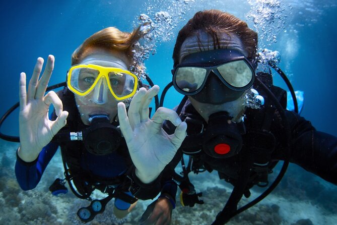 Alanya Scuba Diving Adventure: 2 Guided Dives with Lunch - Key highlights to know before you go