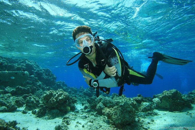 Alanya Scuba Diving Adventure: 2 Guided Dives with Lunch - Where This Alanya Scuba Adventure Starts (And Why Pickup Matters)