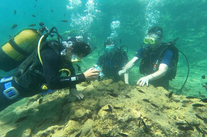 Alanya Scuba Diving Adventure: 2 Guided Dives with Lunch - Group Size and What It Does to Your Comfort Level