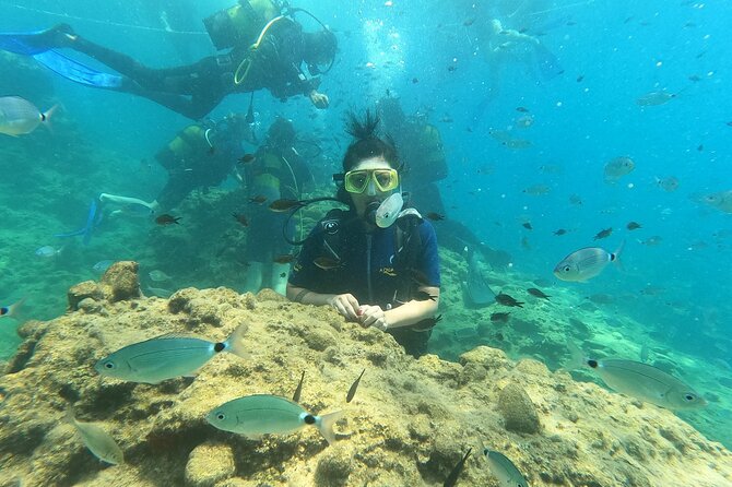 Alanya Scuba Diving Adventure: 2 Guided Dives with Lunch - Photos and Videos: The Most Common Upsell Question