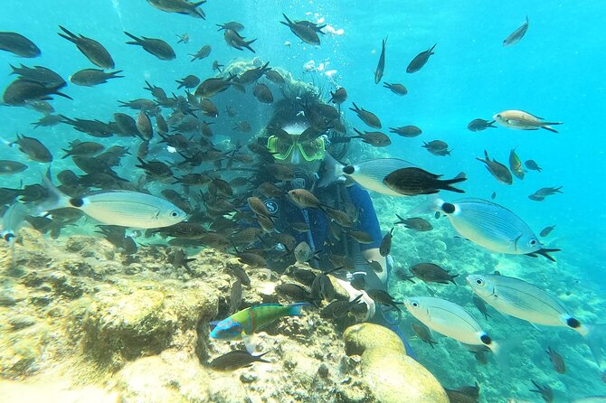 Alanya Scuba Diving Adventure: 2 Guided Dives with Lunch - What the Boat Day Feels Like (And the Quiet Wins)