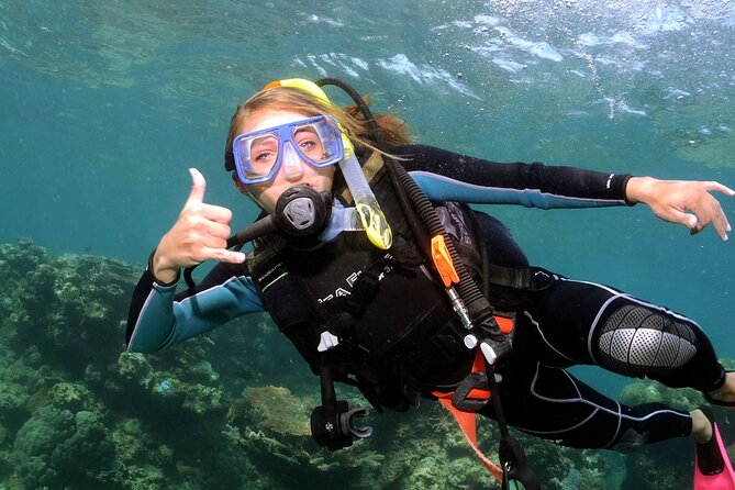 Alanya Scuba Diving Adventure: 2 Guided Dives with Lunch - Who This Alanya Underwater Experience Is Best For