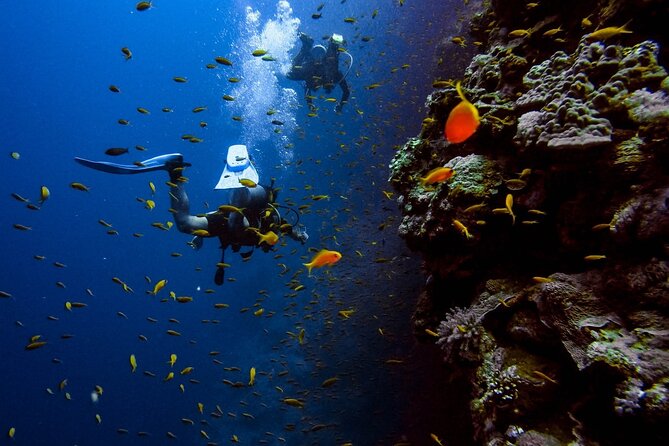 Alanya Scuba Diving Adventure: 2 Guided Dives with Lunch - The Morning Safety Briefing and Gear Prep Step