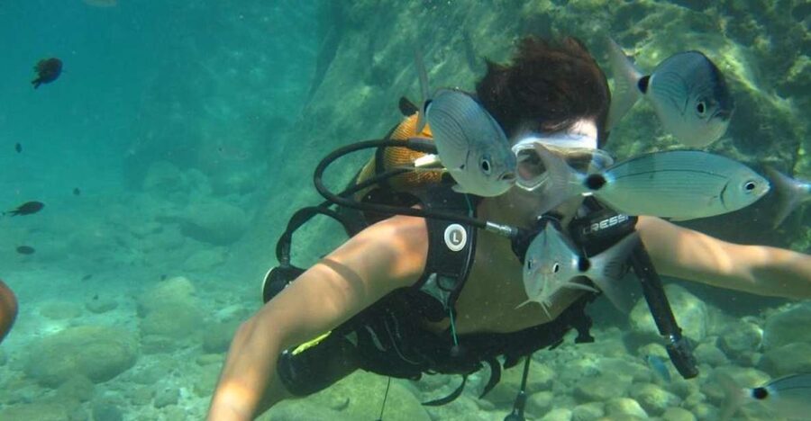 Alanya: Scuba Diving Experience with Lunch - Key Points You’ll Care About