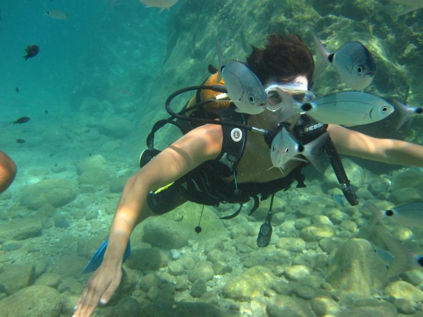 Alanya: Scuba Diving Experience with Lunch - Boat Lunch Between Sessions, Not Just a Pause
