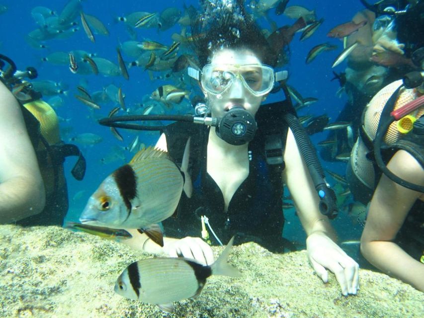 Alanya: Scuba Diving Experience with Lunch - Snorkeling Included, and a Good Backup Plan