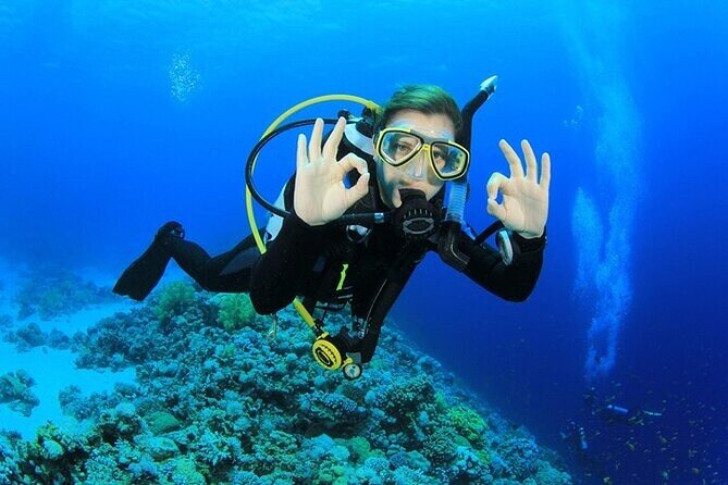 Alanya : Scuba Diving for Beginners w/ Lunch and Transfer - Meeting the Instructor and Getting Ready for Your First Underwater Session