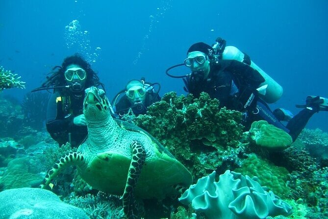 Alanya : Scuba Diving for Beginners w/ Lunch and Transfer - Price and Value: Is $36.04 a Smart Buy?