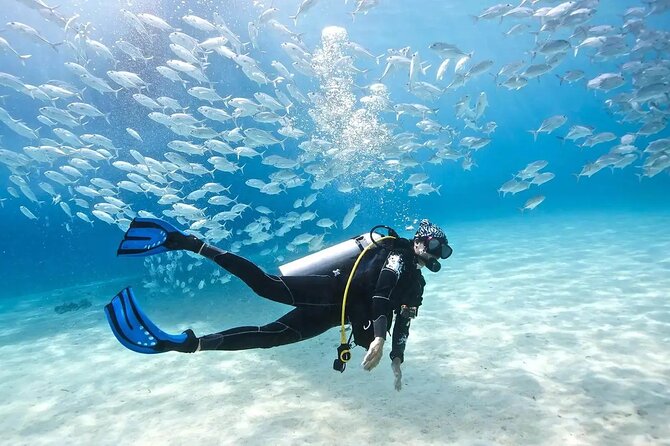 Alanya : Scuba Diving for Beginners w/ Lunch and Transfer - Equipment and Comfort: What’s Included, What You Should Add