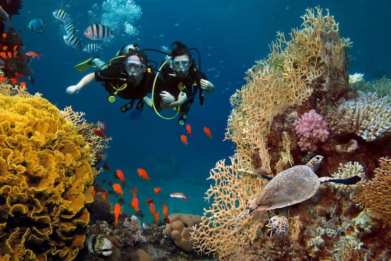 Alanya: Scuba Diving Tour with Lunch and Hotel Transfers - Key Things You’ll Notice on This Alanya Scuba Tour