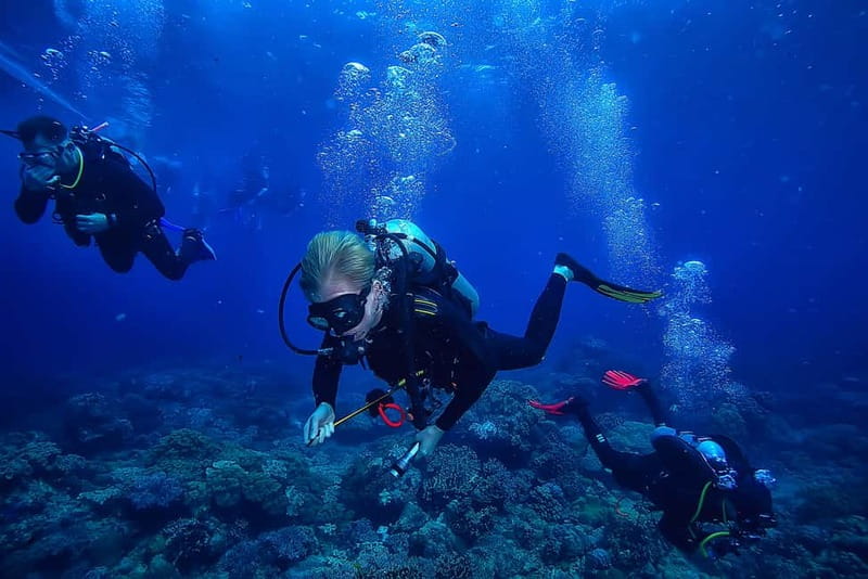 Alanya: Scuba Diving Tour with Lunch and Hotel Transfers - First Underwater Session: 3 to 5 Meters Before Noon