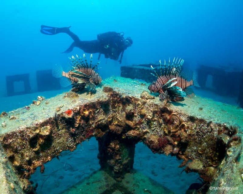 Alanya: Scuba Diving Tour with Lunch and Hotel Transfers - Who Should Book This Tour, and Who Might Skip It