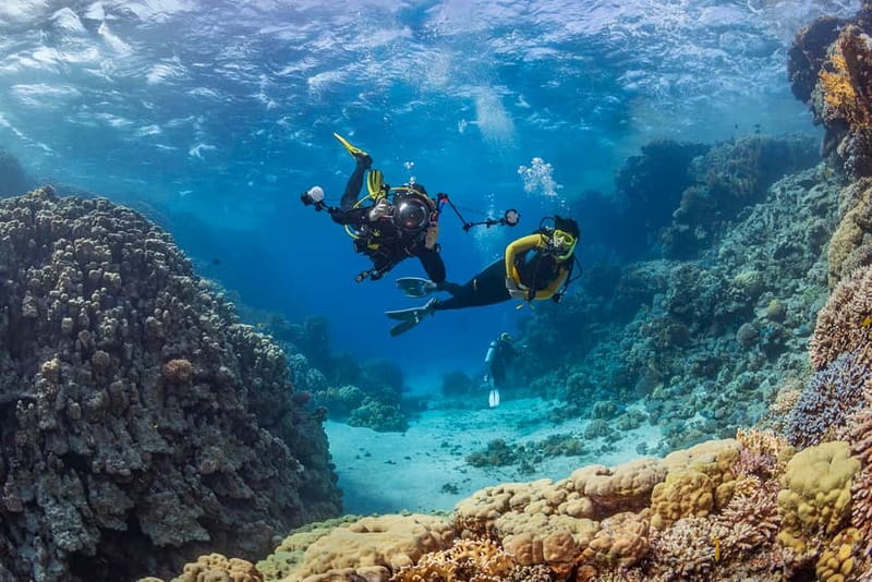 Alanya: Scuba Diving Tour with Lunch and Hotel Transfers - Pickup, Briefing, and the Boat Ride Out to the Spots