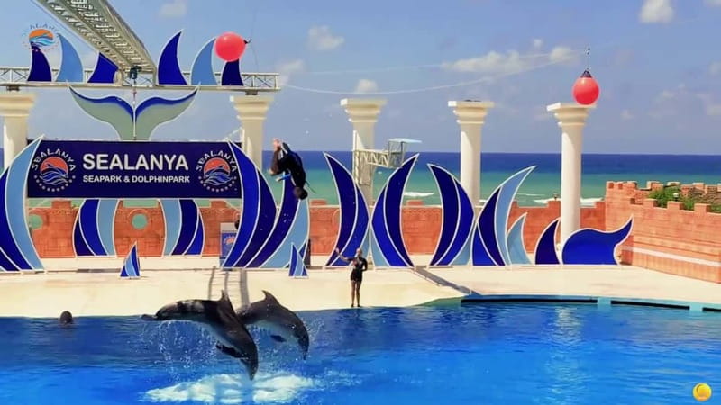 Alanya: Sealanya Dolphinpark Dolphin Show Tour - Dolphin time: dual and multiple water dances, games, and more