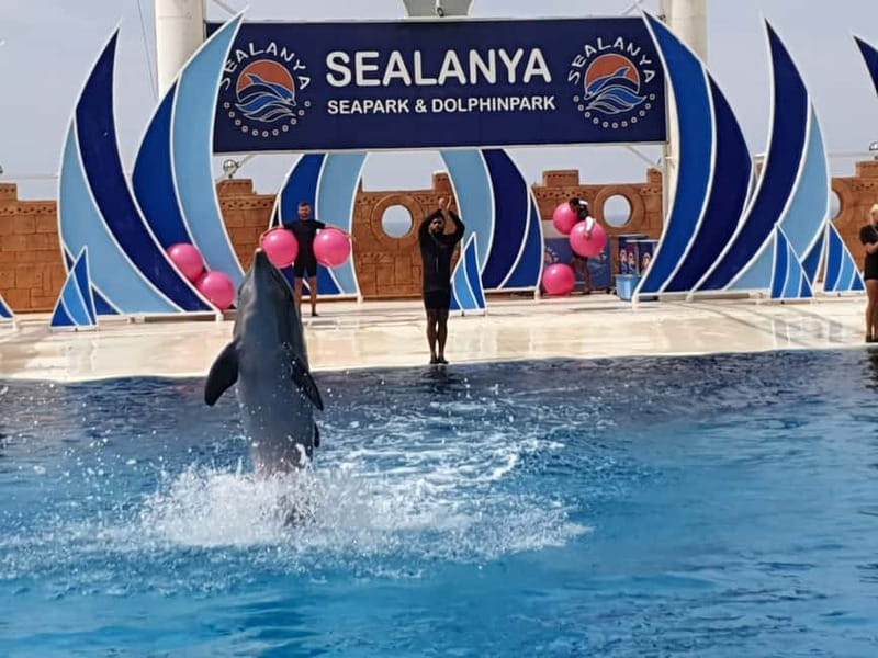 Alanya: Sealanya Dolphinpark Dolphin Show Tour - Optional add-on: swim with dolphins (not included)