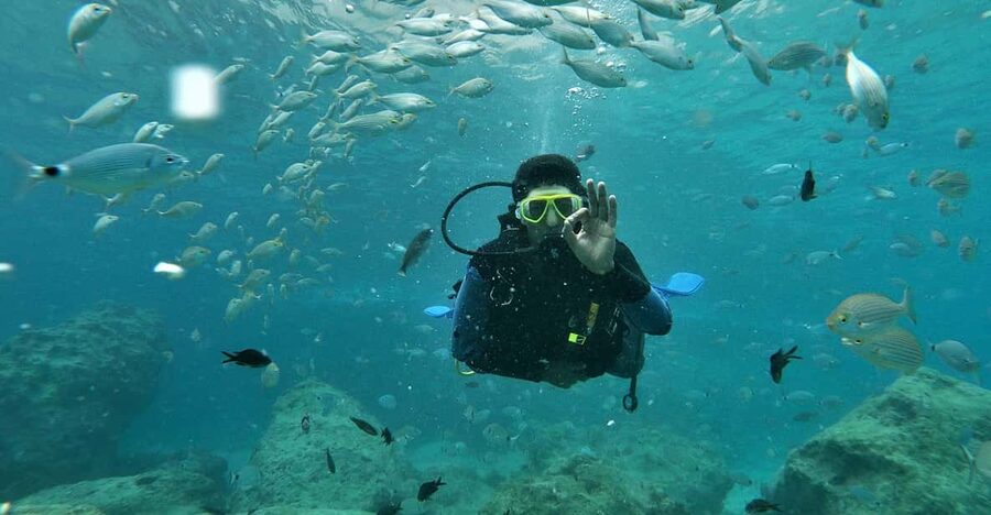 Antalya and Kemer: Full Day Scuba Diving Tour with Lunch - Key Highlights You Should Actually Care About
