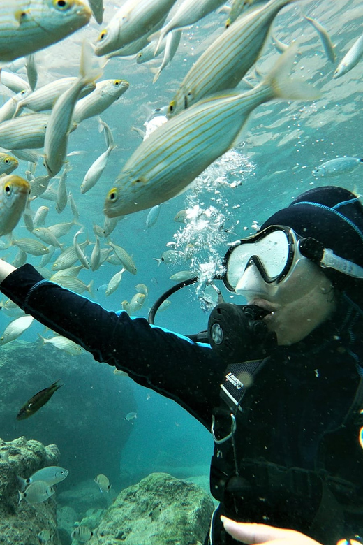 Antalya and Kemer: Full Day Scuba Diving Tour with Lunch - Lunch On Board: A Real Break, Not Just a Sandwich