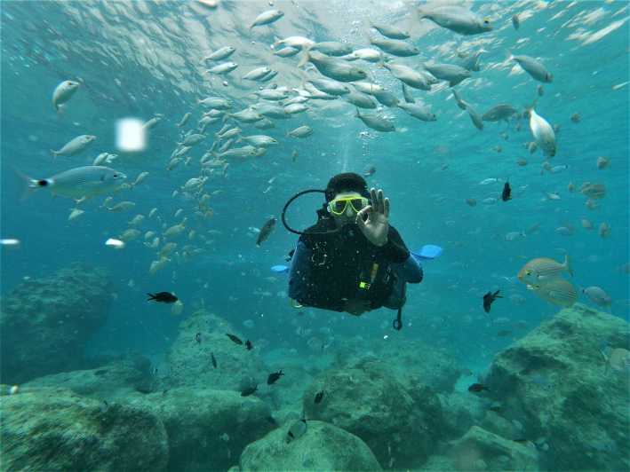 Antalya and Kemer: Full Day Scuba Diving Tour with Lunch - From Kemer Harbor to Underwater Training: The Start of the Day