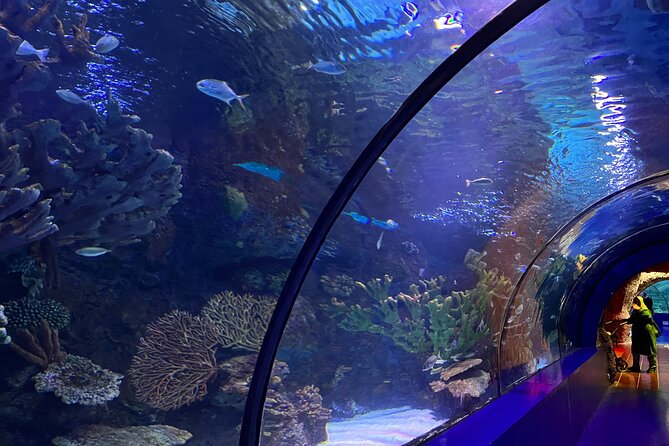 Antalya Aquarium and Face to Face Wax Museum Private Transfer - Price and Value: What $72.25 Covers (And What It Does Not)