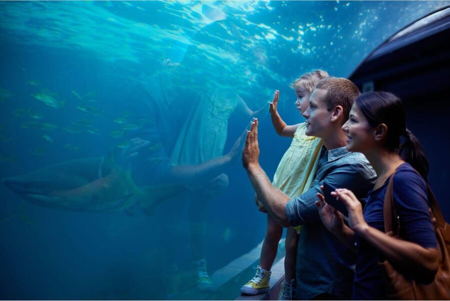 Antalya: Aquarium and Wax Museum Entry Ticket - Theming Zones: Atlantis, Reefs, and Rainforest-Style Displays