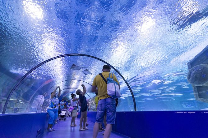Antalya: Aquarium Ticket With Optional Transfer - Pickup from your hotel security gate: what can go wrong