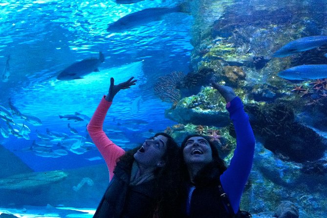 Antalya: Aquarium Ticket With Optional Transfer - Antalya Aquarium time: the 3-hour rhythm that works