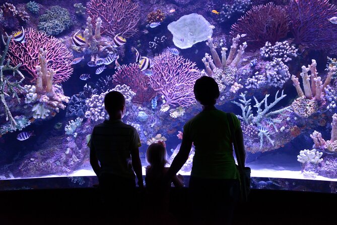 Antalya: Aquarium, Wax Museum & Combo Package Options - Antalya Aquarium and Face2Face Wax Museum in one day