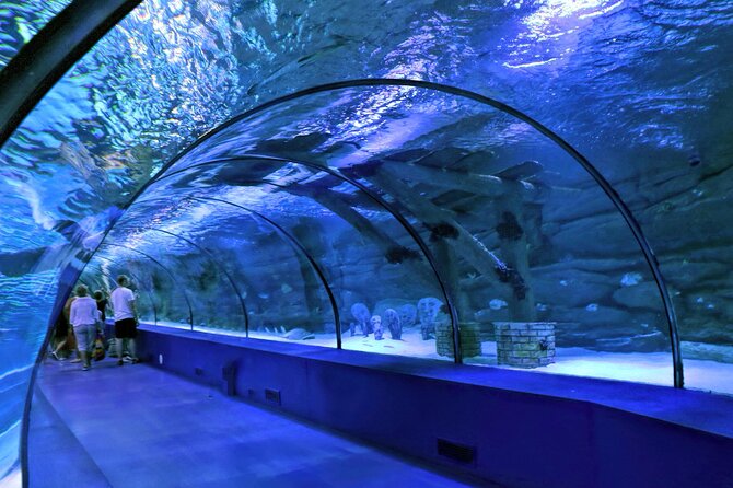 Antalya: Aquarium, Wax Museum & Combo Package Options - FACE2FACE Wax Museum: celebrity selfies without leaving the aquarium