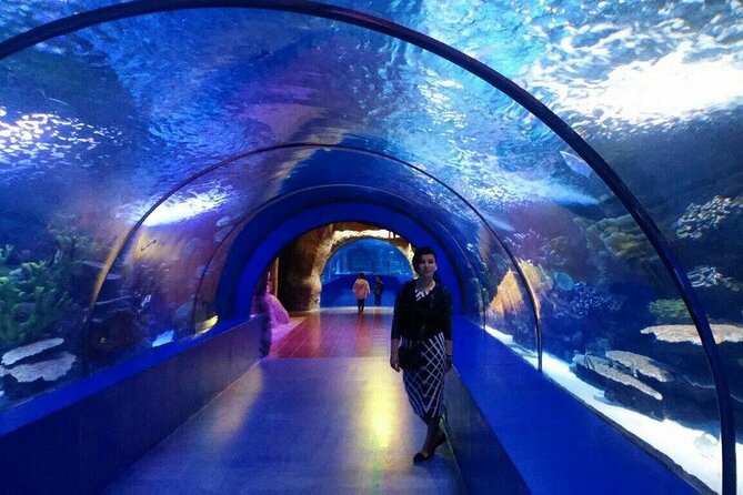 Antalya: Aquarium, Wax Museum & Combo Package Options - Choosing your package: Snow World, Ice Museum, Tropical House, Oceanride XD Cinema