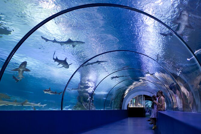 Antalya: Aquarium, Wax Museum & Combo Package Options - Location and logistics: getting in smoothly