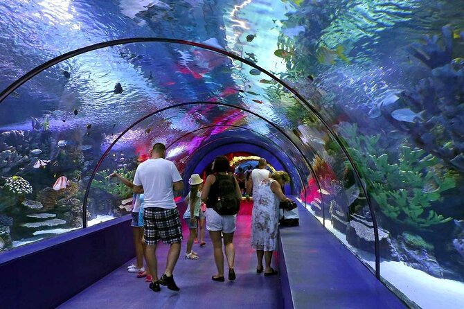 Antalya: Aquarium, Wax Museum & Combo Package Options - The aquarium route: 40 themed stops that keep you moving
