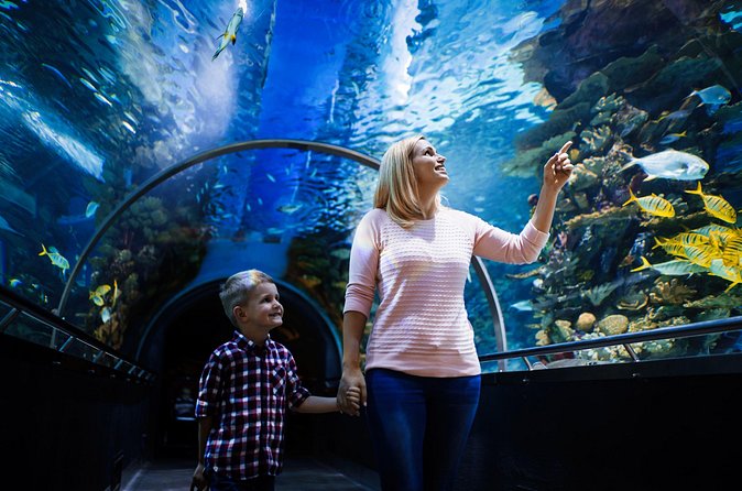 Antalya Half-Day Private City Tour with Aquarium Visit - Hidirlik Tower Views: The Easy Way to Understand Antalya’s Geography