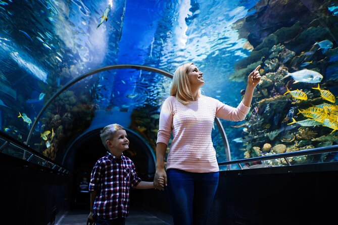 Antalya Half-Day Private City Tour with Aquarium Visit - Antalya Aquarium: Sea Tunnel, Feeding Moments, and Wax Museum Access