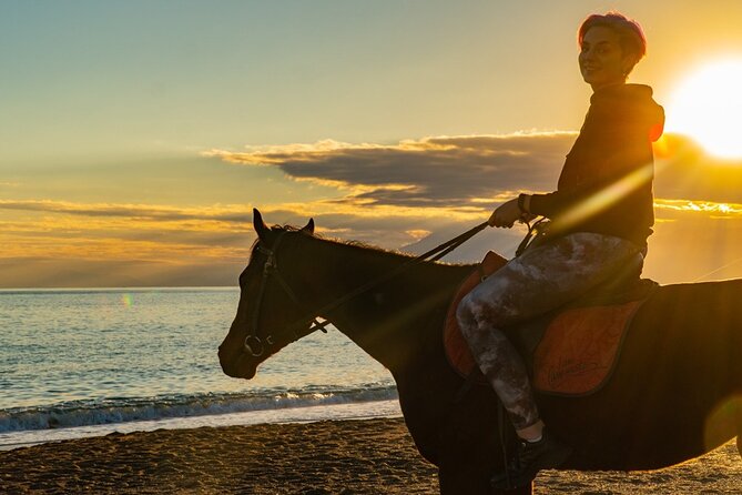 Antalya Horse Riding On Beach And Through The Forests For 2 Hours - Lara Beach to pine forest, what the ride feels like