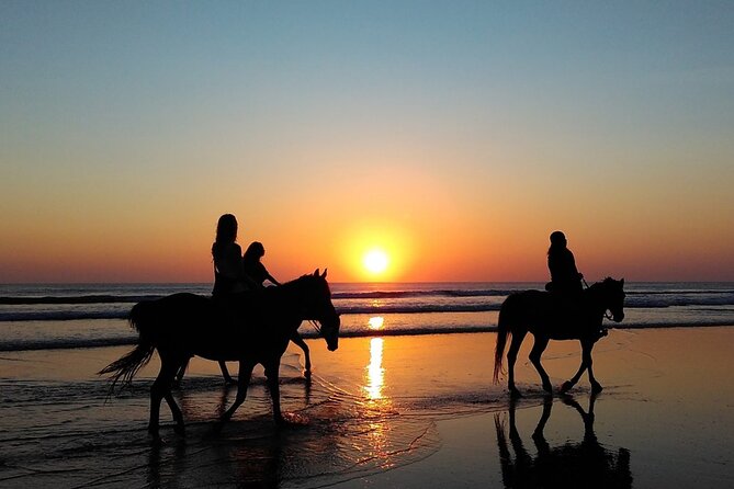 Antalya Horse Riding On Beach And Through The Forests For 2 Hours - Beach condition, debris, and how to protect your feet