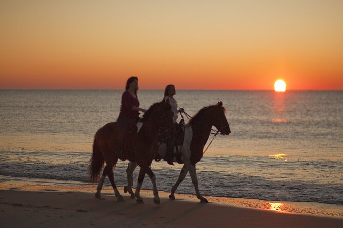 Antalya Horse Riding On Beach And Through The Forests For 2 Hours - Photos, camera rules, and what you might pay extra for